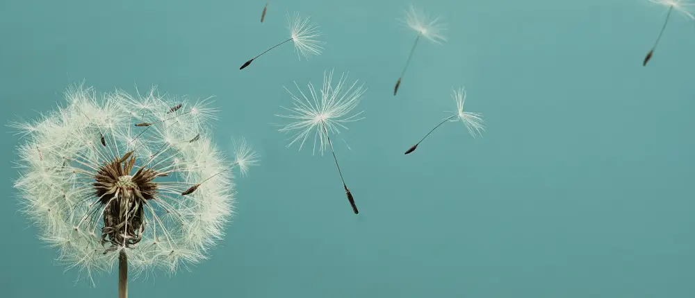 Sexologue spécialisée éjaculation précoce